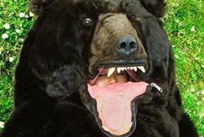 Как вы думаете, что это такое? (6 Фото)