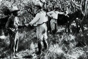 Самые известные пропавшие экспедиции, которые исчезли бесследно