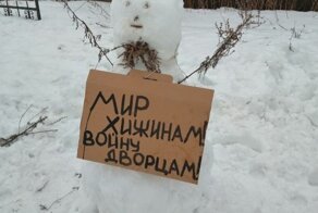 В Архангельской области разогнали пикет снеговиков