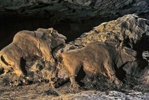 Глиняные зубры возрастом 15 000 лет - прекрасно сохранившийся памятник позднего палеолита