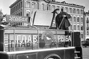 Почему рыба в СССР была дешевой и доступной