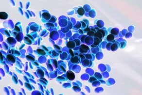 Химия крови: какого еще цвета кроме красного может быть кровь?