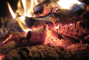 Макросъемка костра  (5 Фото)