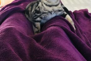 Те еще актеры