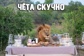 Фотоподборка