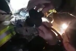 Пожарные не сдавались, пока не реанимировали кота