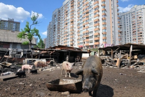 Украинский хутор в центре Киева (31 фото)