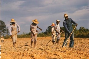 Великая депрессия в Америке (51 фото)