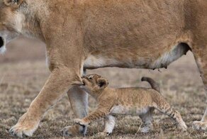 Фотоподборка