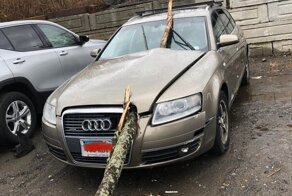 17 везунчиков, которым жизнь подарила счастливый билет