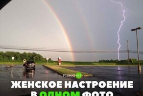 Смешные и познавательные картинки