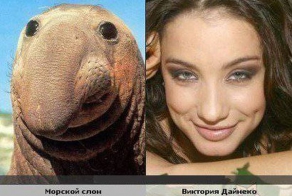 Забавные сходства. Часть 9. (16 фото)