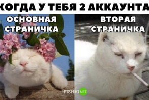 Смешные и познавательные картинки