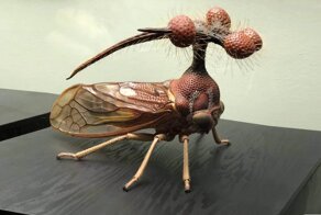 Бразильская горбатка: Шизофренические формы южных насекомых. Зачем им макет солнечной системы на голове?