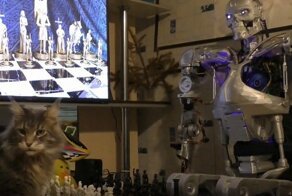 Терминатор из Прикамья научился играть в шахматы и дерзить создателю