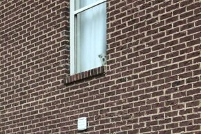 Любопытные носы