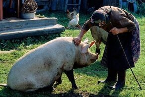 Живут как могут. Часть 1