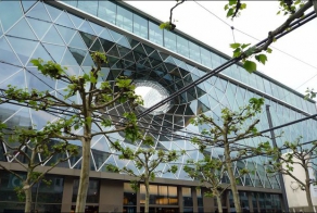 Визуальный аттракцион (6 фото)