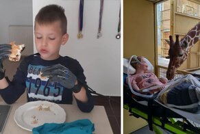 30 добрых фотографий, которые согреют душу