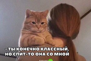 Намешалось