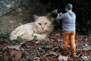 Фотограф превратился в 3D-миниатюру, чтобы взглянуть на мир по-новому