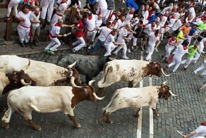 В Памплоне быки снова не выйдут на улицы