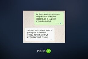 Сочи в феврале: разлекух нет, комары есть