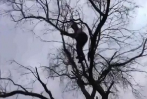 Подборка курьезов и неудач за май. Часть 2 (видео)