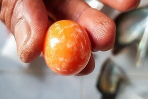 Редкая оранжевая жемчужина стоимостью $340 тысяч