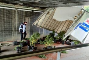 Барселонский "мост глупости" поймал грузовик с саженцами  марихуаны