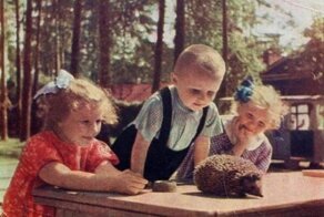 Прекрасное и беззаботное далёко