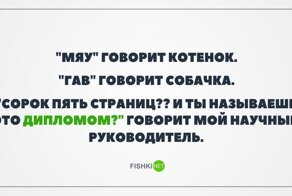 Когда получил диплом