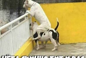 Фотоподборка