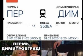 Убойные мемы с котом, которые зарядят позитивом