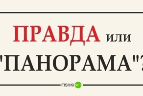 Тест: сможете ли вы отличить реальную новость от "Панорамы"?
