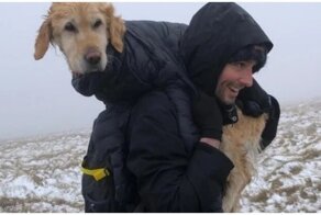 Туристы наткнулись на обессиленную собаку, которая две недели выживала в горах