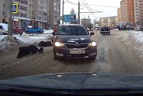 В Смоленске водитель сбил двух пешеходов и протаранил встречный автомобиль