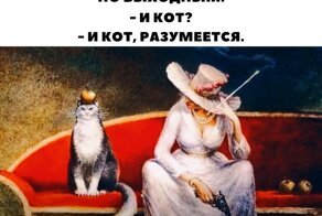 Скрины из соцсетей