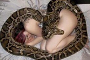 Девушка засыпала со своим питоном, пока не заподозрила нечто