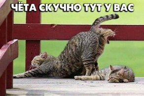 Фотоподборка