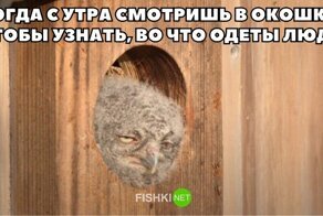 Смешные и познавательные картинки