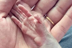 Фотографии, которые дают наглядное представление о размерах интересных вещей