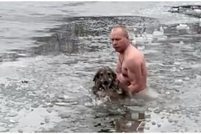 В Волгограде мужчина спас провалившуюся под лед собаку