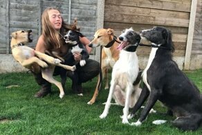 30 семейных фото, которые не были бы такими забавными, если бы не собакены