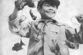 Как китайцы уничтожали воробьев