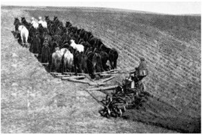20 мулов: исторические доказательства того, что машины это сила