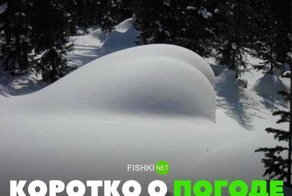 Смешные и познавательные картинки