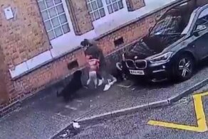 Момент нападения пса на маленьких девочек в Англии попал на видео