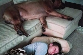 15 любящих людей, которые без ума от своих питомцев