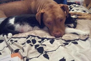 Пост о дружбе